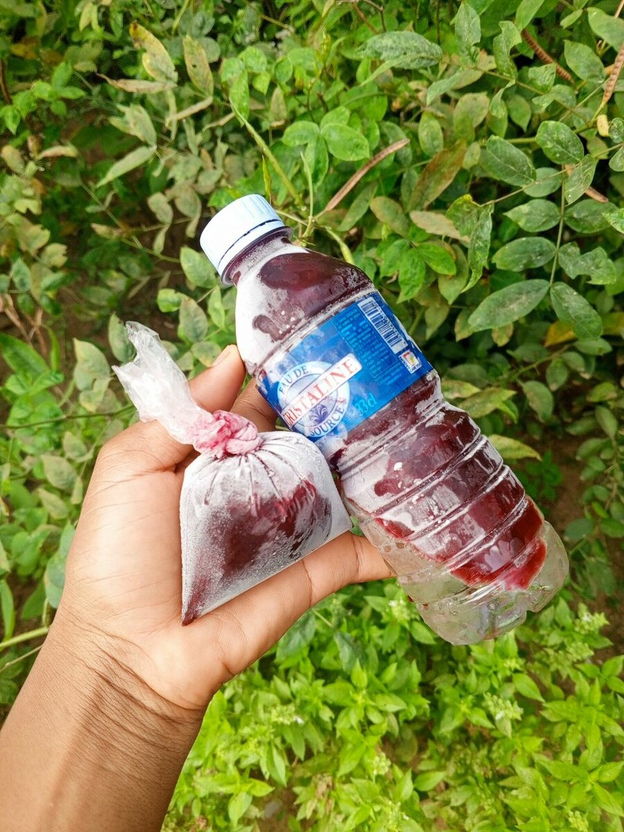 Boissons glacées naturelles