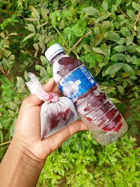 Boissons glacées naturelles