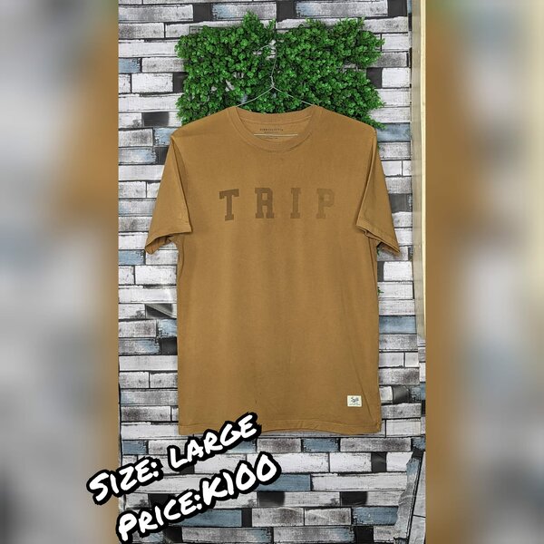 Plain T-shirt