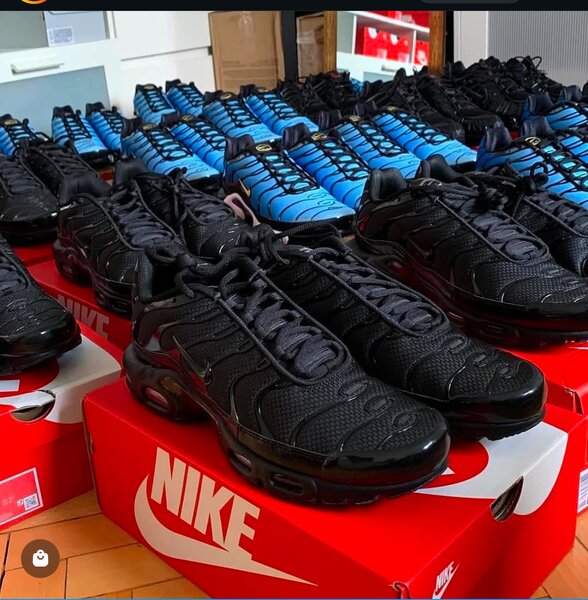 Basket Nike tn  authentique avec sa boîte