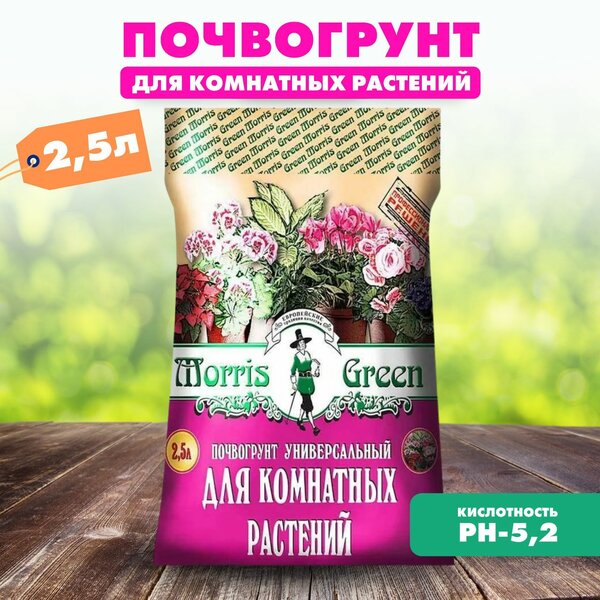 Грунт