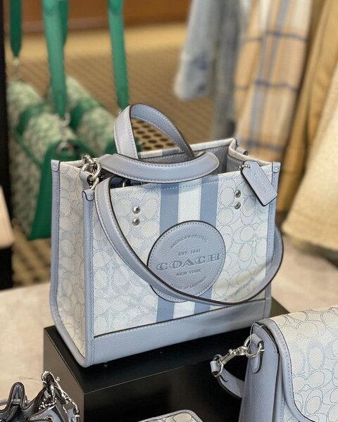 Ladies bag