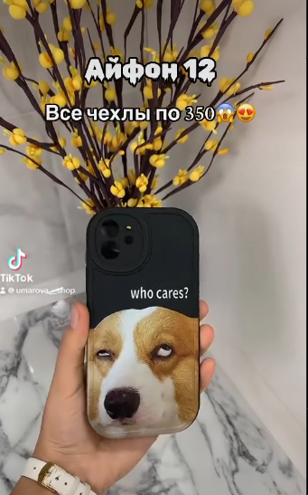 Чехол