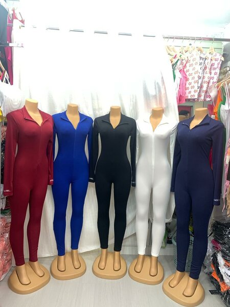 Bodygov