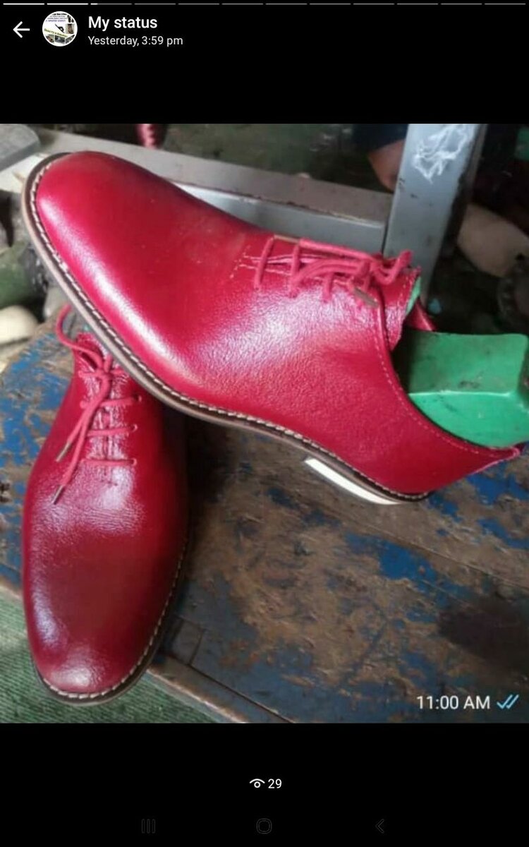 Desert Shoe