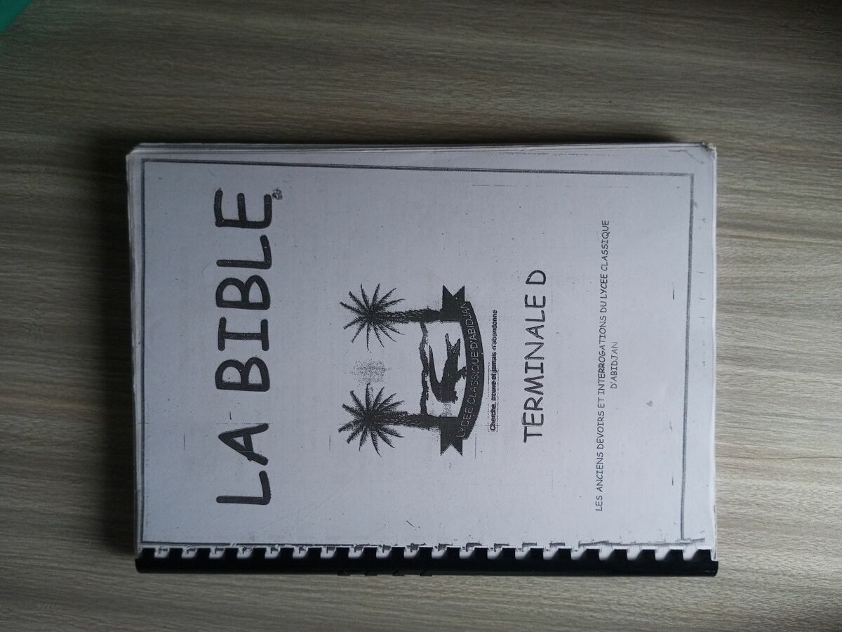 Guide d'Étude Mathématique T.D