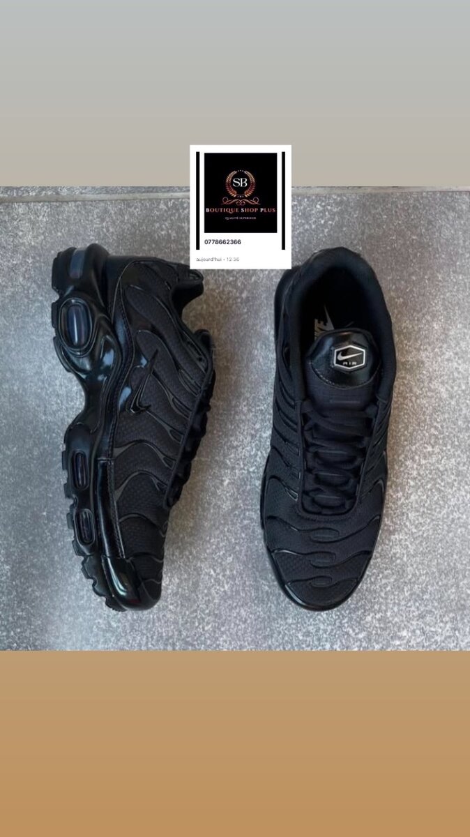 Basket Nike tn authentique avec sa boîte