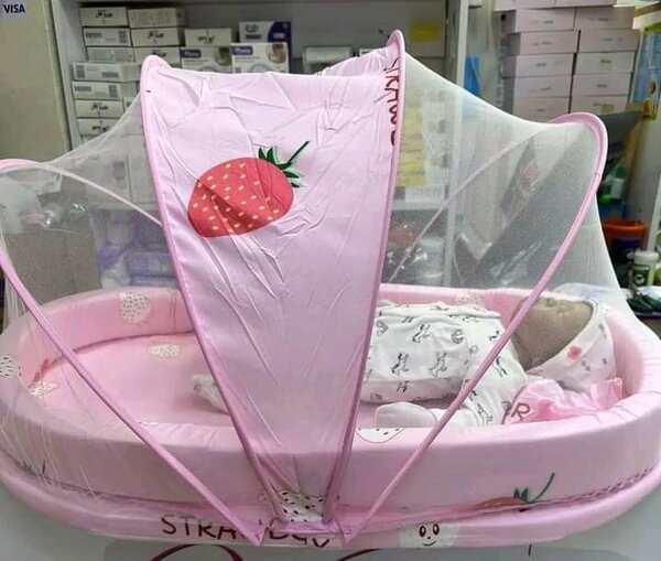 Mosquito Net