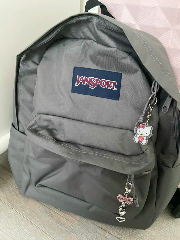 Sac à dos JanSport gris
