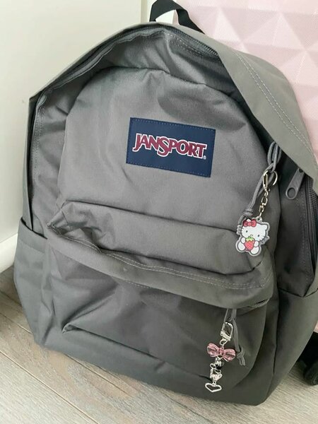 Sac à dos JanSport gris