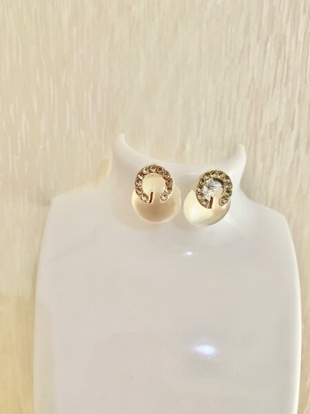 Fashion Earrings