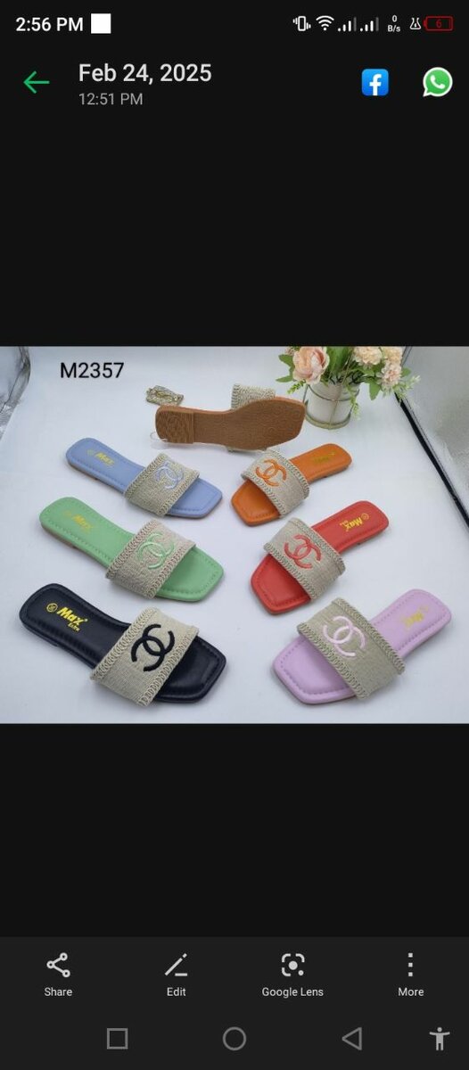 Ladies slippers