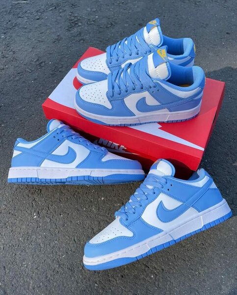 Air Nike Dunk Low Bleu