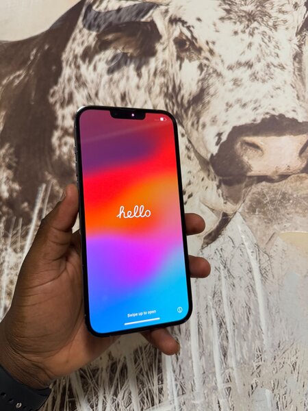 iPhone 13pro max