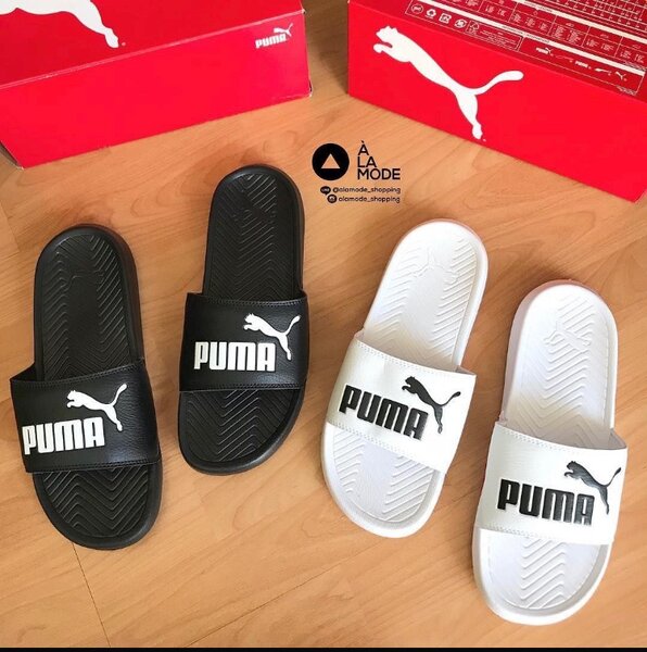 Puma