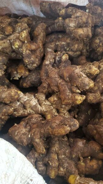 Ginger fresh