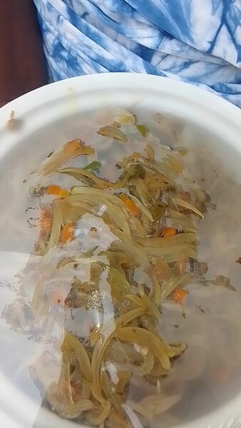 SAUTÉ de POISSON