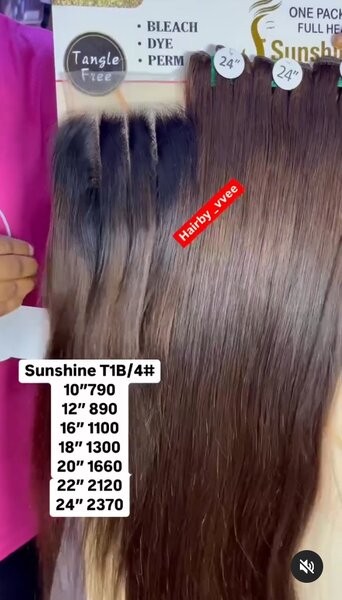 Sunshine T1B
