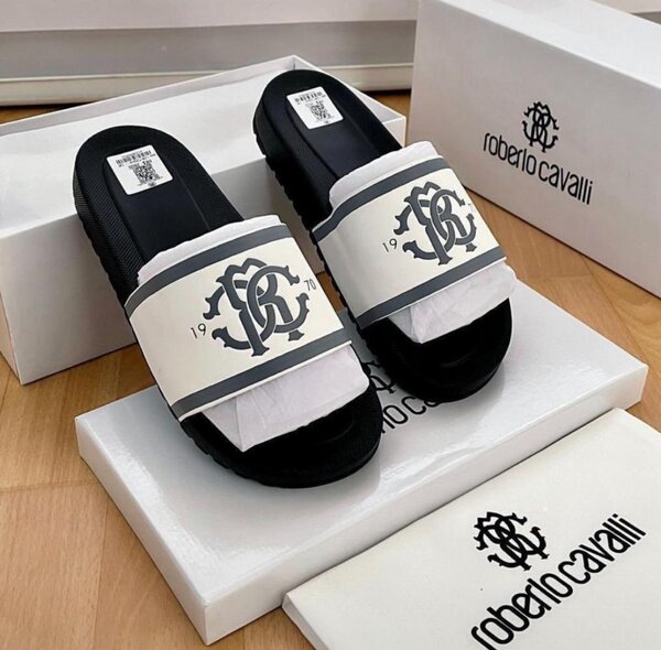 Slides