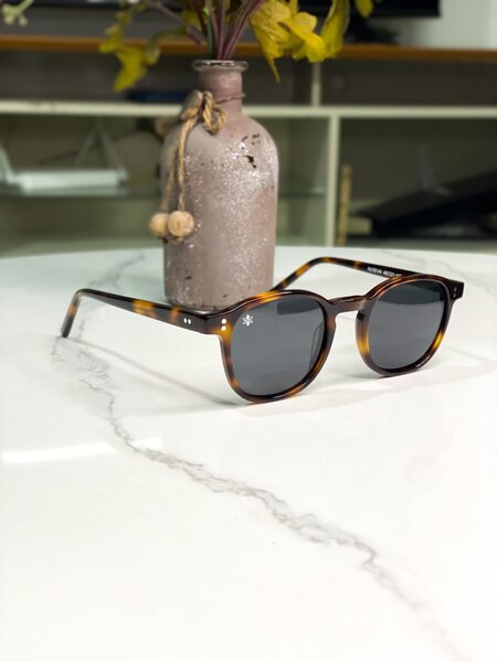 Lunettes de soleil élégantes