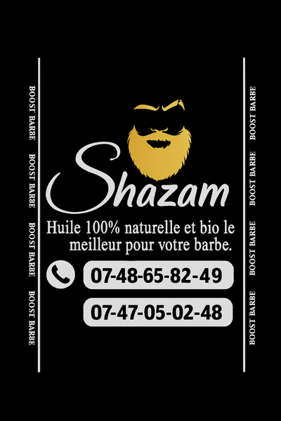 Shazam Groupe