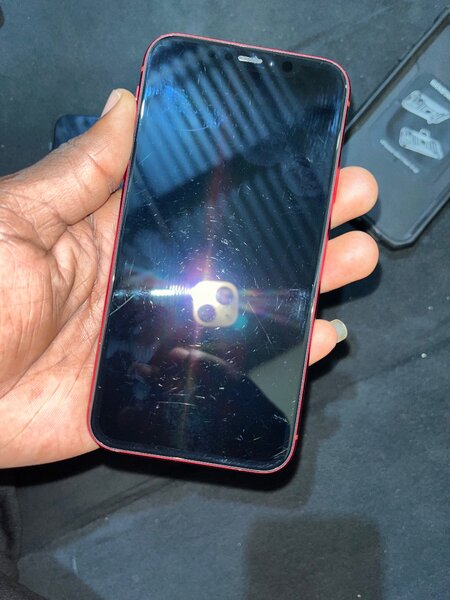 iPhone XR