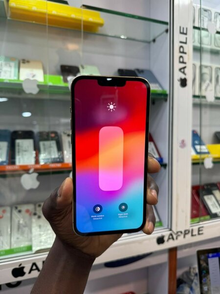 iPhone 13 pro max