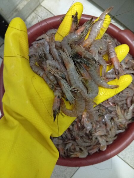 Crevettes