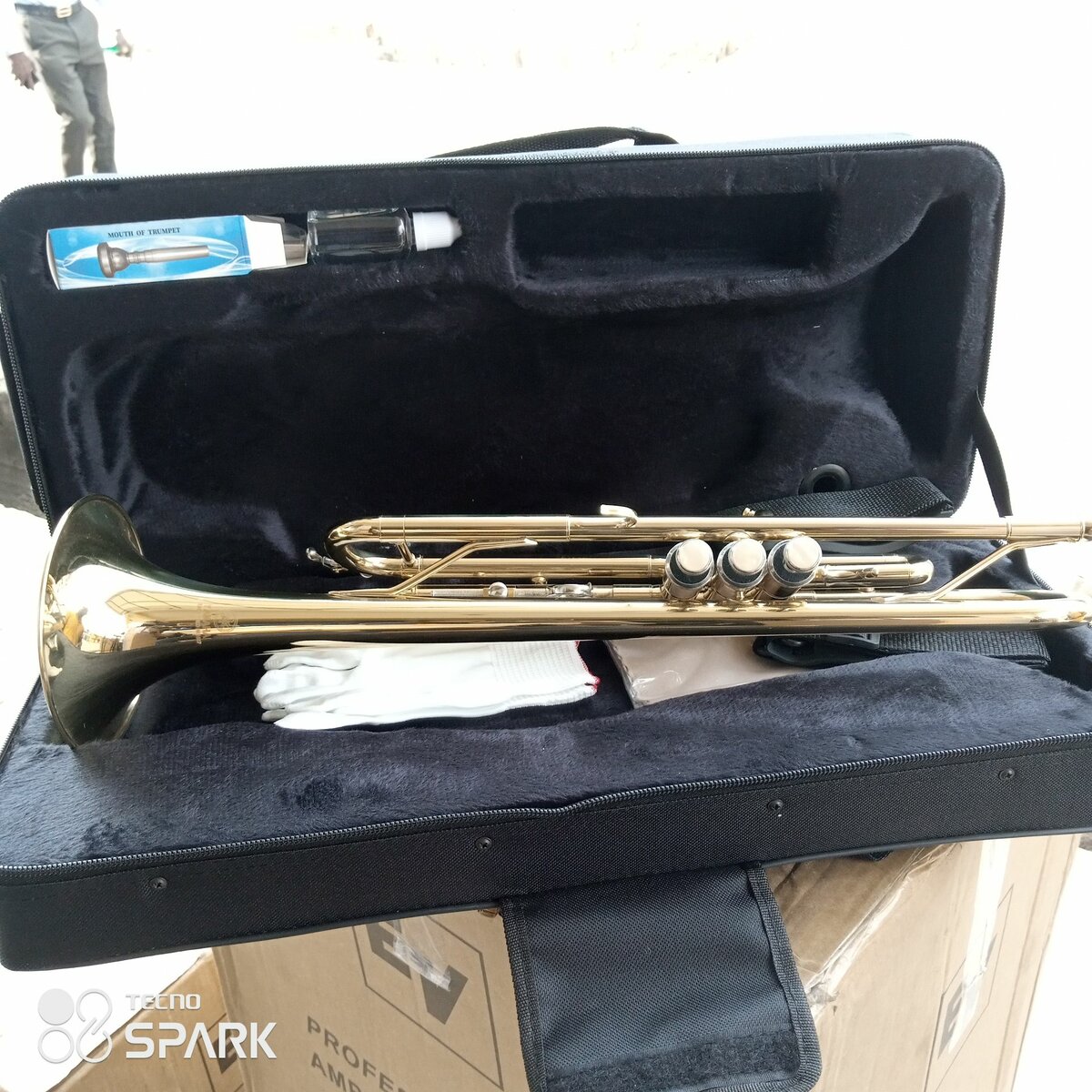 Trumpet titanic