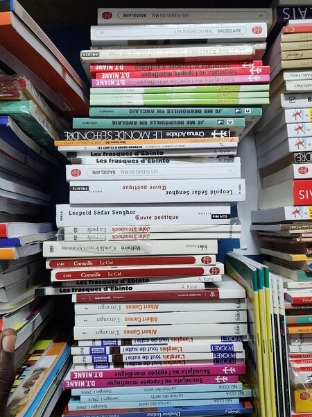Collection de Livres Divers