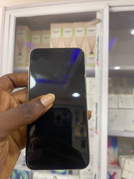 iPhone X 256gig