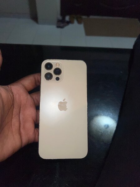 iPhone 12Pro , couleur Or