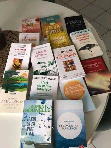 Lot de Livres Développement Personnel