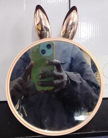 Miroir rond décoratif lapin