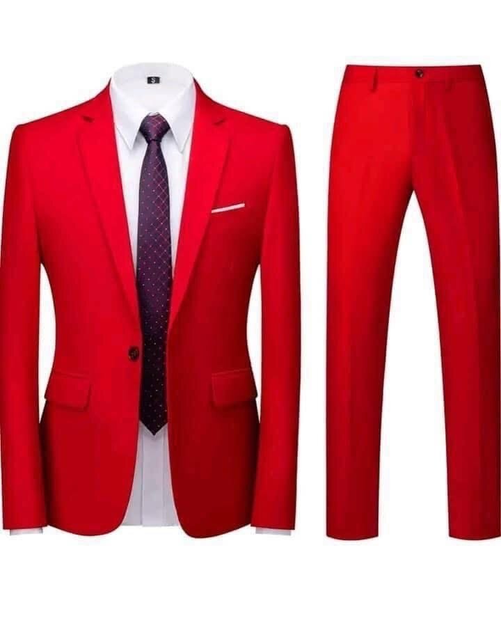 Costume ordinaire (simple) la veste et le pantalon