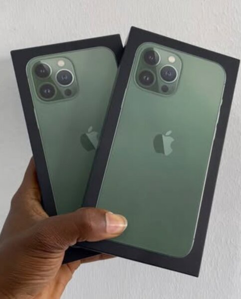 iPhone 13 Pro Max