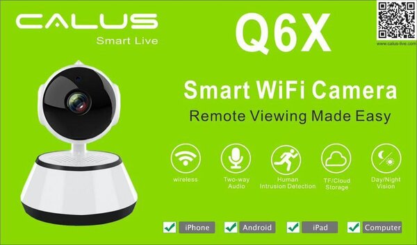 Caméra de surveillance Calus Q6X
