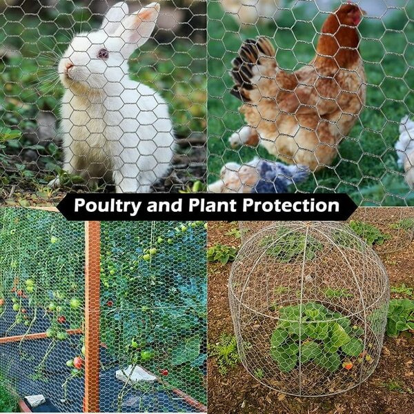 Durable Chicken Wire Mesh