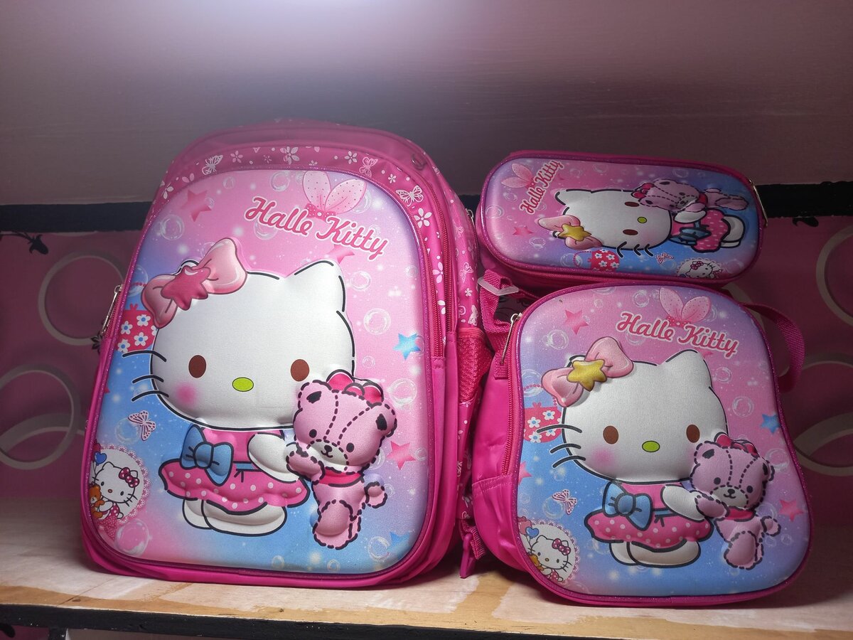 3 in 1 School Bag