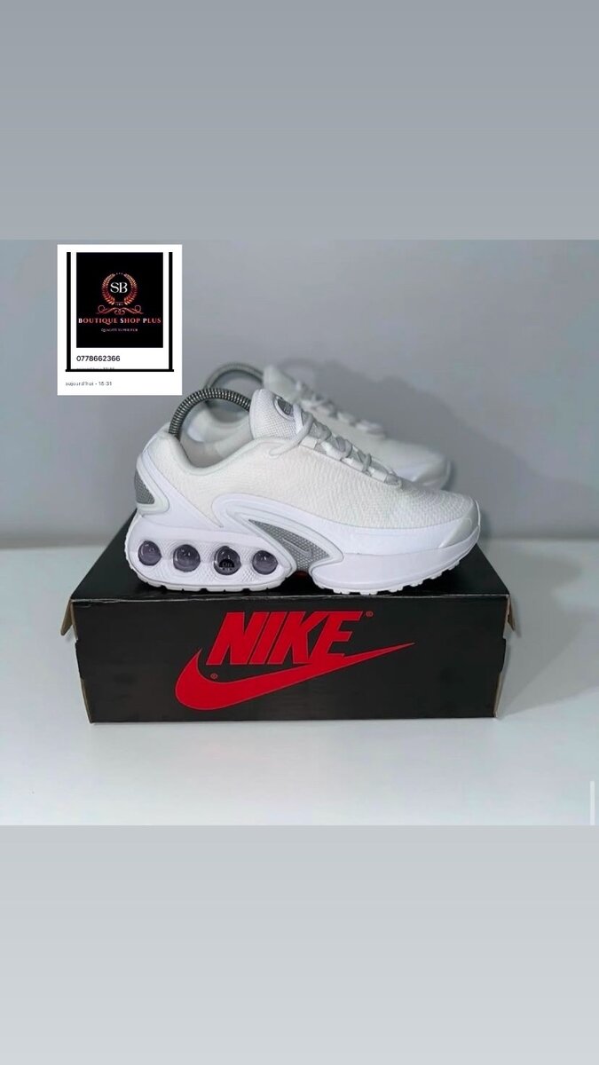Basket nike DN authentique avec sa boîte