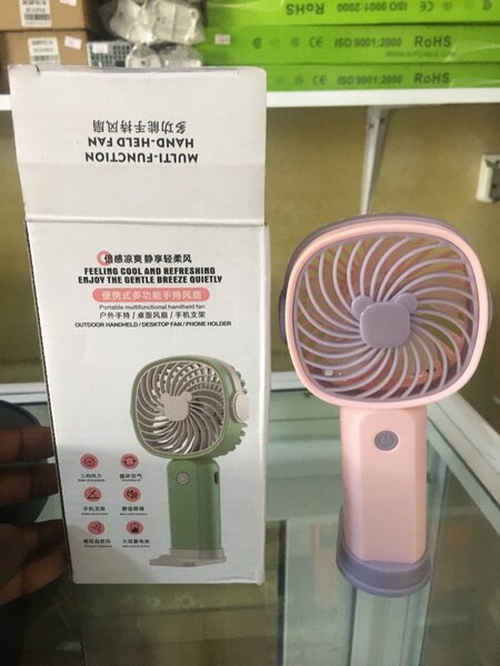Bridal Fan
