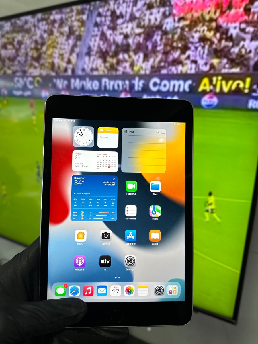 iPad Mini 4