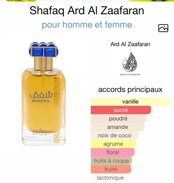 SHAFAQ