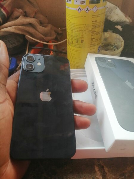 12 mini