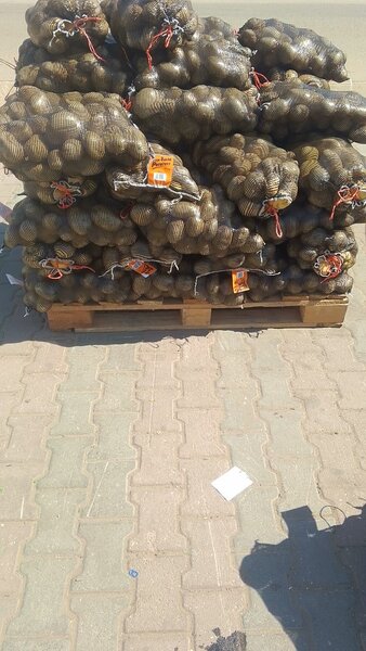 Potatoes