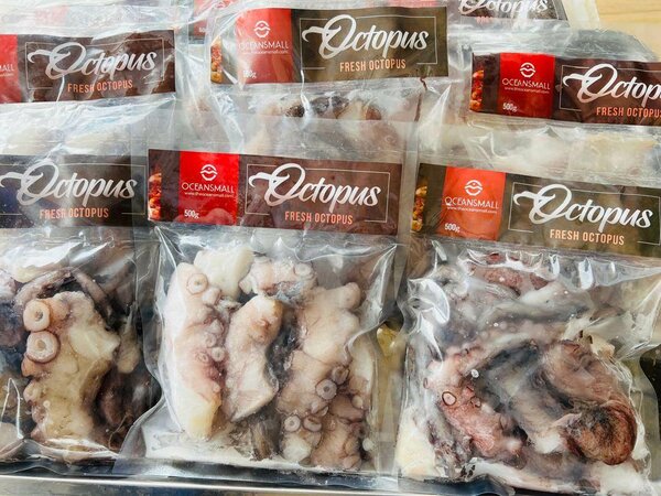Oceans Octopus