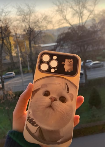 Чехол