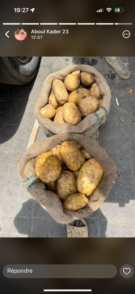 Pomme de terre