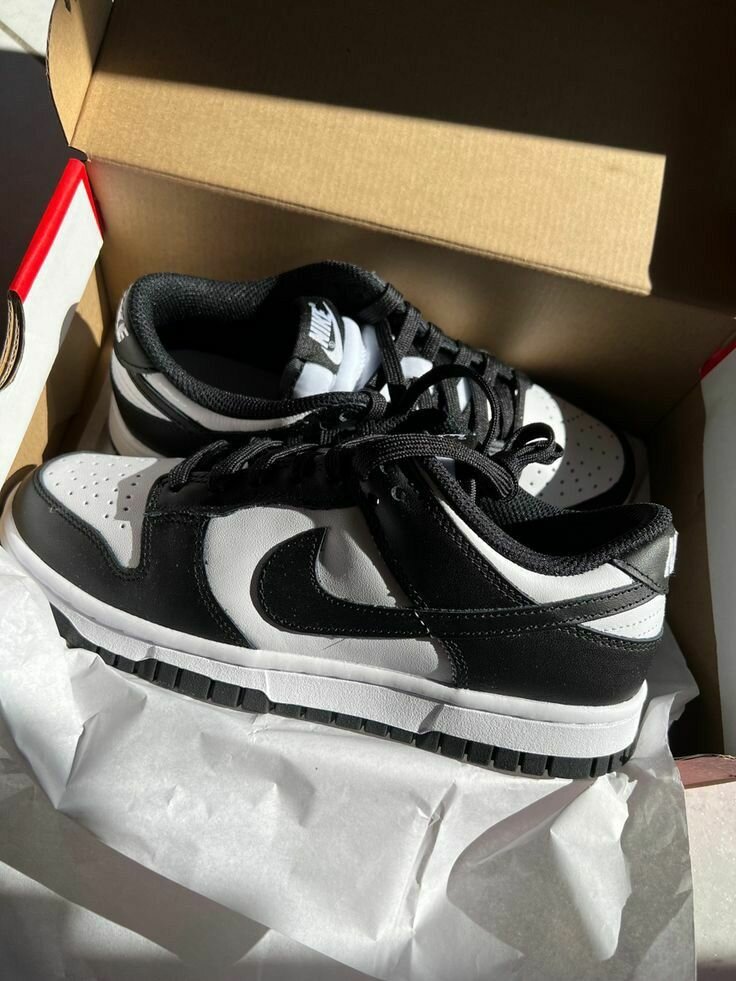 SB Dunks