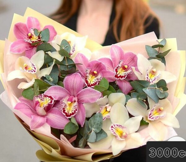 3000сом